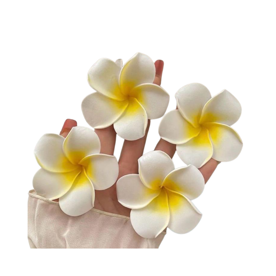 Tools & Cases 4 White Flower Hair Clips | 4 مشابك شعر على شكل زهرة بيضاء