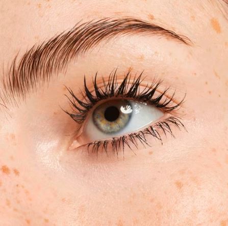 Catrice Lift Up Volume & Lift Mascara No. 010 | كاتريس ماسكارا طول وكثافة رقم 010
