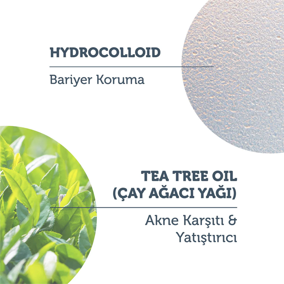 The Purest Tea Tree Oil Hydrocolloid Invisible Acne Spot Patches 18*2|  18*2بيوريست لصقات لعلاج حب الشباب