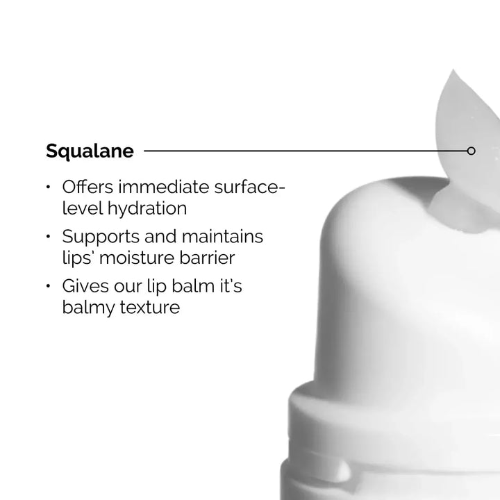The Ordinary Squalane + Amino Acids Lip Balm - 15ml | ذا اورديناري مرطب شفاه - 15 مل