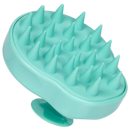 CALA Scalp Massaging Shampoo Brush | كالا فرشاة شامبو لتدليك فروة الرأٍس