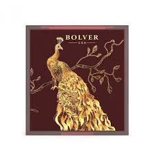 Bolver EyeShadow Palette - 9g | بولفر باليت اي شادو - 9 غرام