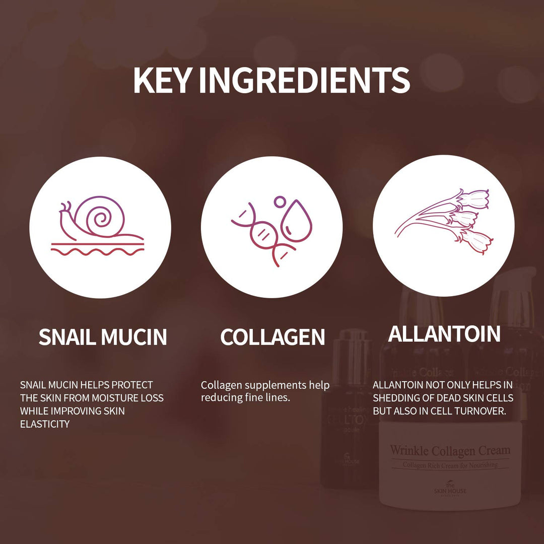 the SKIN HOUSE Wrinkle Collagen Cream - 50 ml | كريم ذا سكين هاوس للتجاعيد بالكولاجين – 50 مل