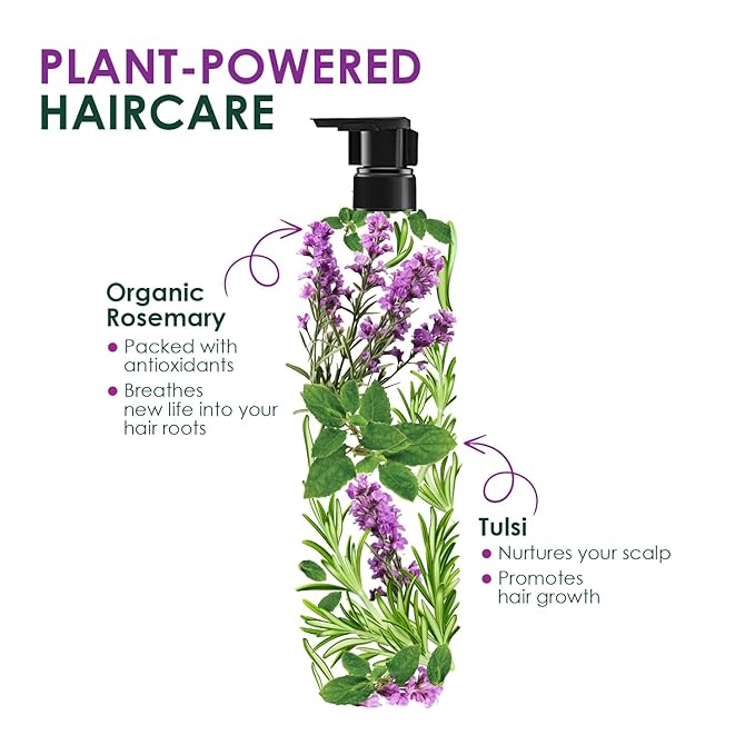 Kesh King Organic Rosemary Shampoo - 300ml | كيش كينج شامبو باكليل الجبل - ٣٠٠ مل
