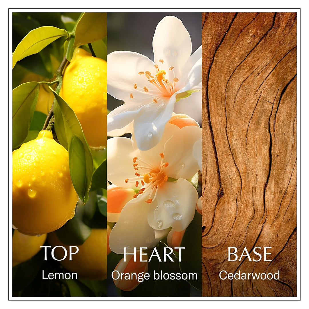 CHANSON Lemon Sicily Eau De Toilette - 100ml | شانسون عطر الليمون للنساء - 100 مل