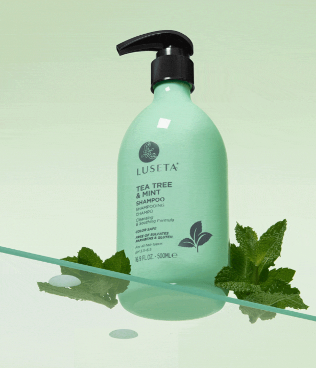 Luseta Tea Tree & Mint Shampoo - 500ml | لوسيتا شامبو بالنعنع و شجرة الشاي - 500 مل