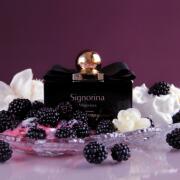 ايطاليا Signorina Misteriosa  EDP - 100ml | سالفاتور فيراغامو عطر سينيورينا ميستيريوسا  للنساء - 100 مل