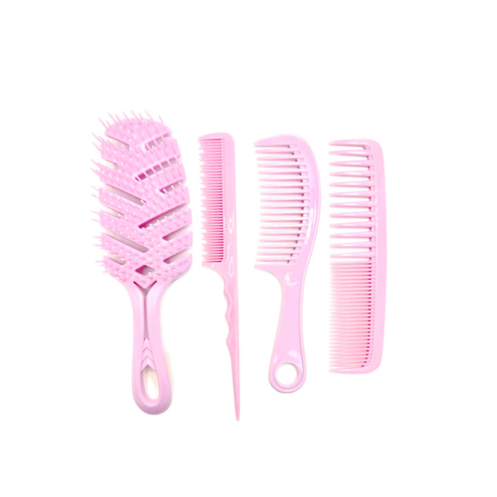 Professional Styling Comb Set - 4pcs | مجموعة فراشي الشعر - 4 قطع