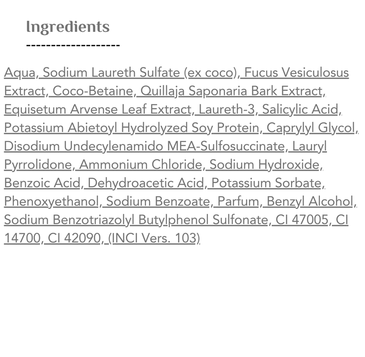 RAUSCH Anti-grease shampoo With seaweed - 200ml | راوش شامبو للشعر وفروة الرأس الدهنية - 200 مل