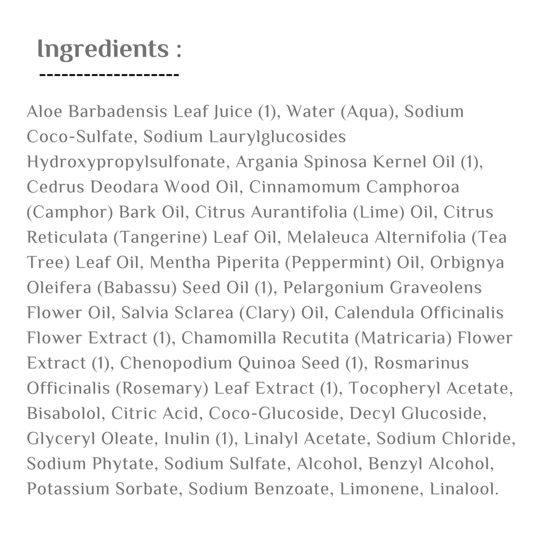 AVALON ORGANICS Scalp Normalizing Tea Tree Mint Shampoo  - 414ml | افالون اورغانيكس شامبو لتهدئة فروة الرأس بزيت شجرة الشاي و النعنع - 414 مل