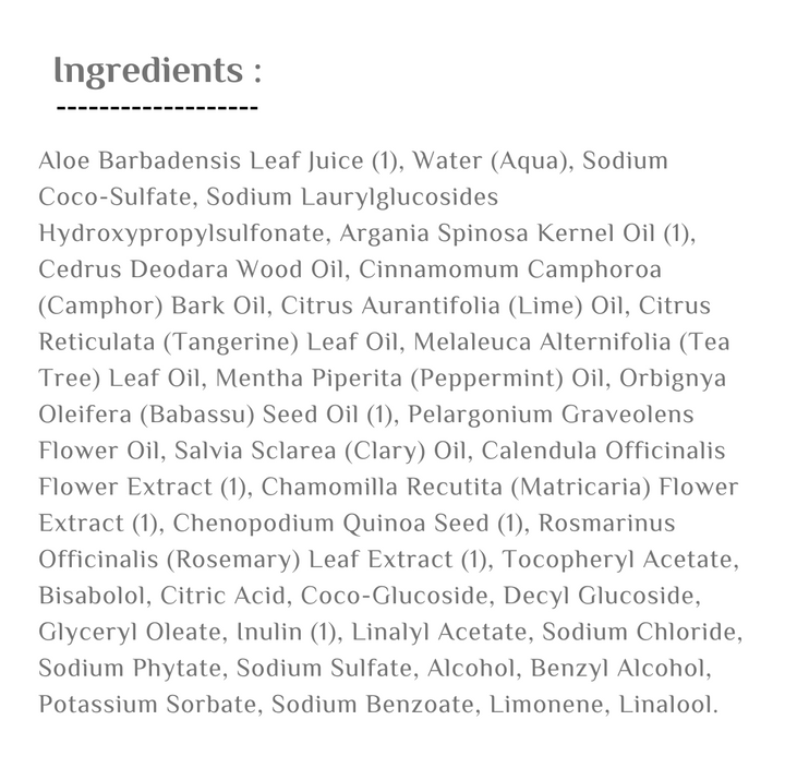 AVALON ORGANICS Scalp Normalizing Tea Tree Mint Shampoo  - 414ml | افالون اورغانيكس شامبو لتهدئة فروة الرأس بزيت شجرة الشاي و النعنع - 414 مل