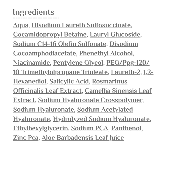 The Purest Exfoliating Salicylic Acid Cleanser Niacinamide 1% - 400ml | منظف مقشر نقي بحمض الساليسيليك ونياسيناميد ١٪ – ٤٠٠ مل