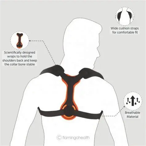 Clavicle Brace XL | دعامة الترقوة
