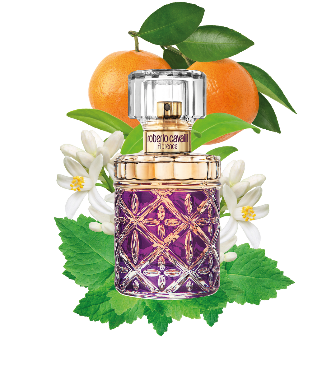Roberto Cavalli Florence EDP - 75ml / عطر روبرتو كفالي فلورنس او دو بارفيوم 75مل