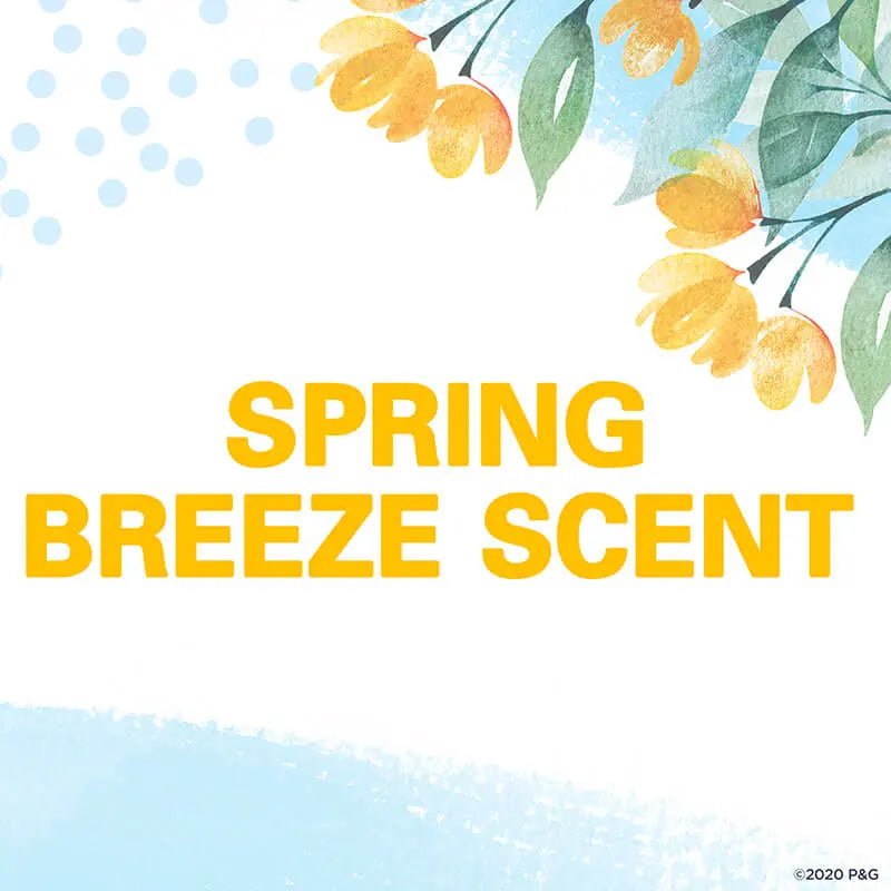 Secret Invisible Solid Spring Breeze - 73g | مزيل تعرق صلب - 73 غرام