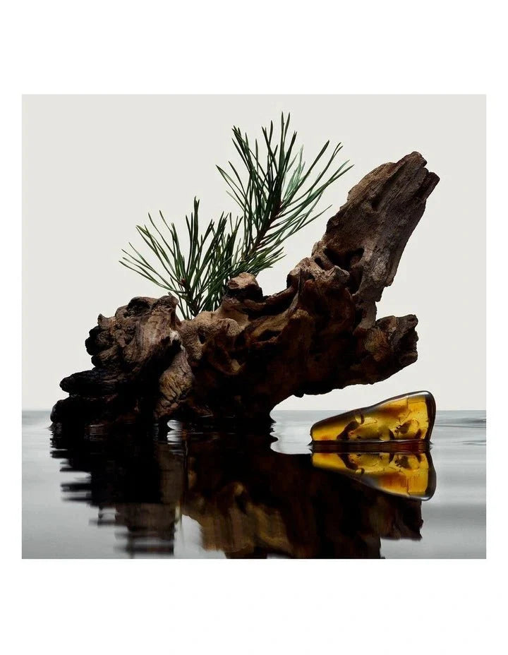 Burberry Hero Perfume 100 ml  | عطر بربري هيرو بارفام للرجال 100 مل