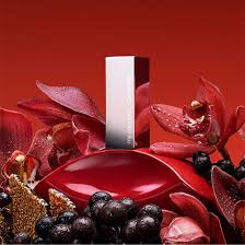 Calvin Klein  My Euphoria EDP - 100ml |  عطر كالفن كلاين ماي يوفوريا  للنساء 100 مل