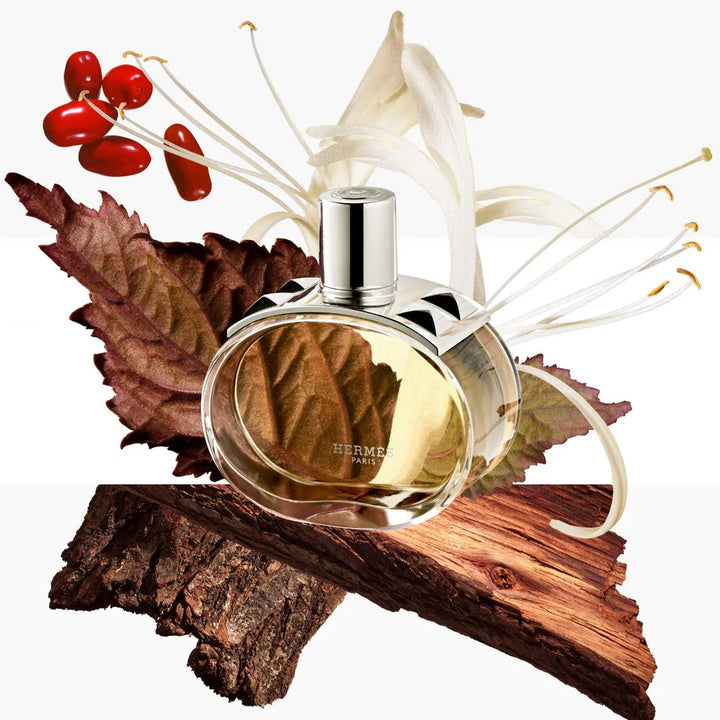Barenia Eau De Parfum - 100ml | عطر بارينيا او دو بارفان للنساء - 100 مل