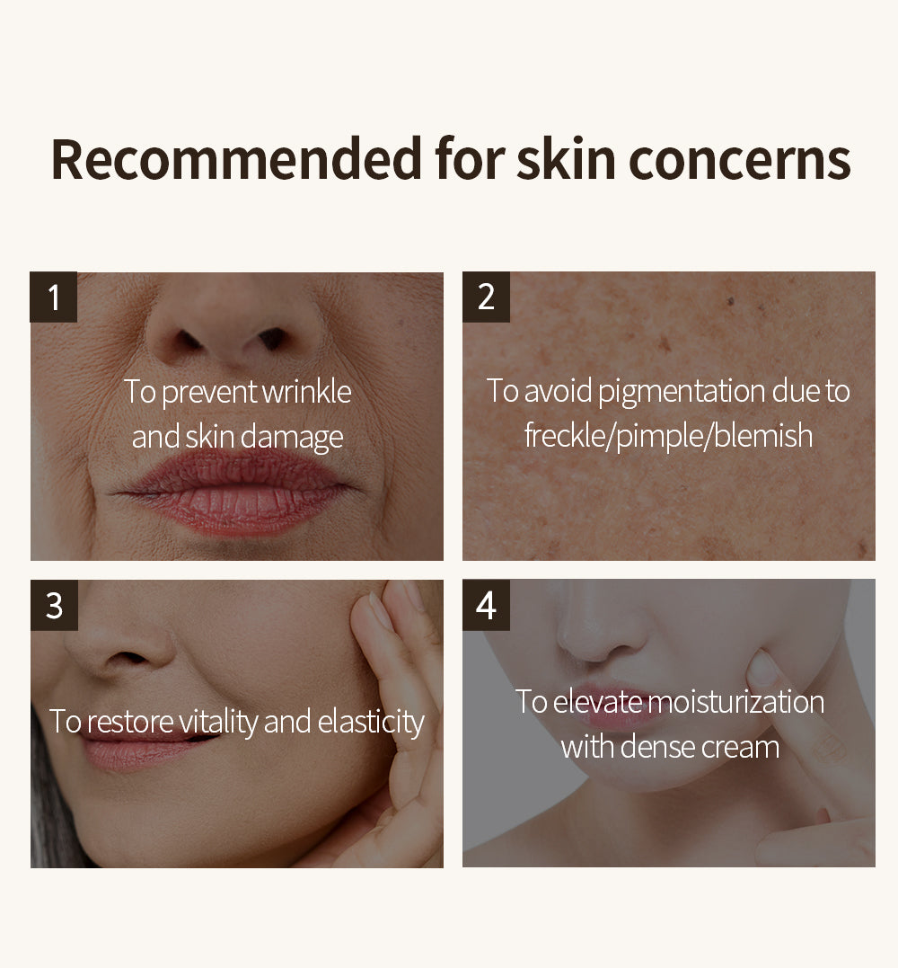 BENTON Snail Bee Ultimate Cream - 50g | بينتون كريم مستخلص الحلزون و النحل - 50 غرام