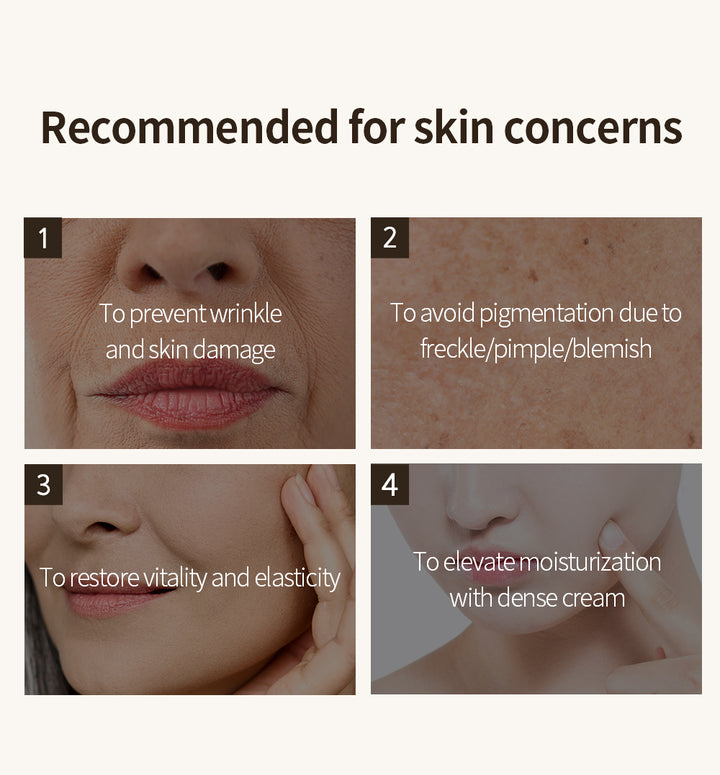 BENTON Snail Bee Ultimate Cream - 50g | بينتون كريم مستخلص الحلزون و النحل - 50 غرام