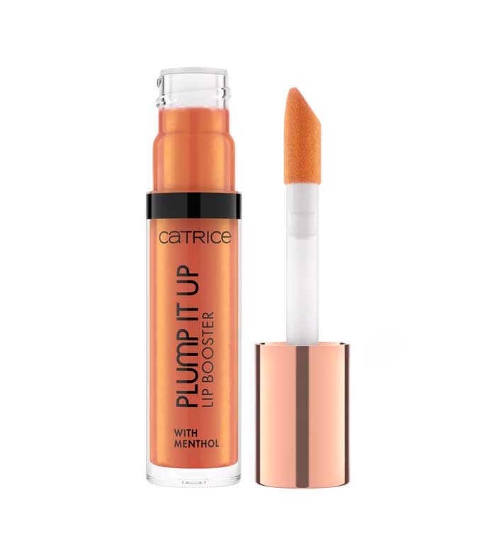 Plump It Up Lip Booster No.070